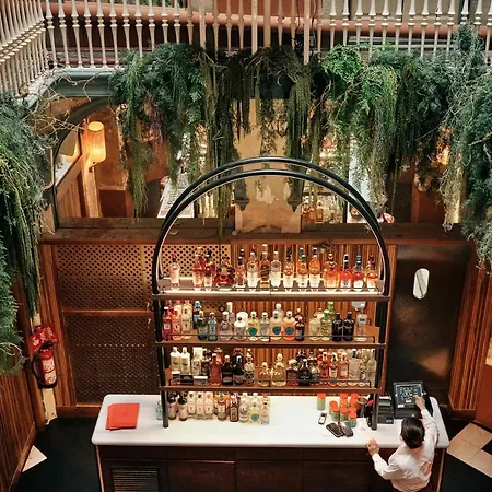 Chic&basic Habana Hoose